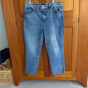 Talbots Straight Leg Blue Jeans